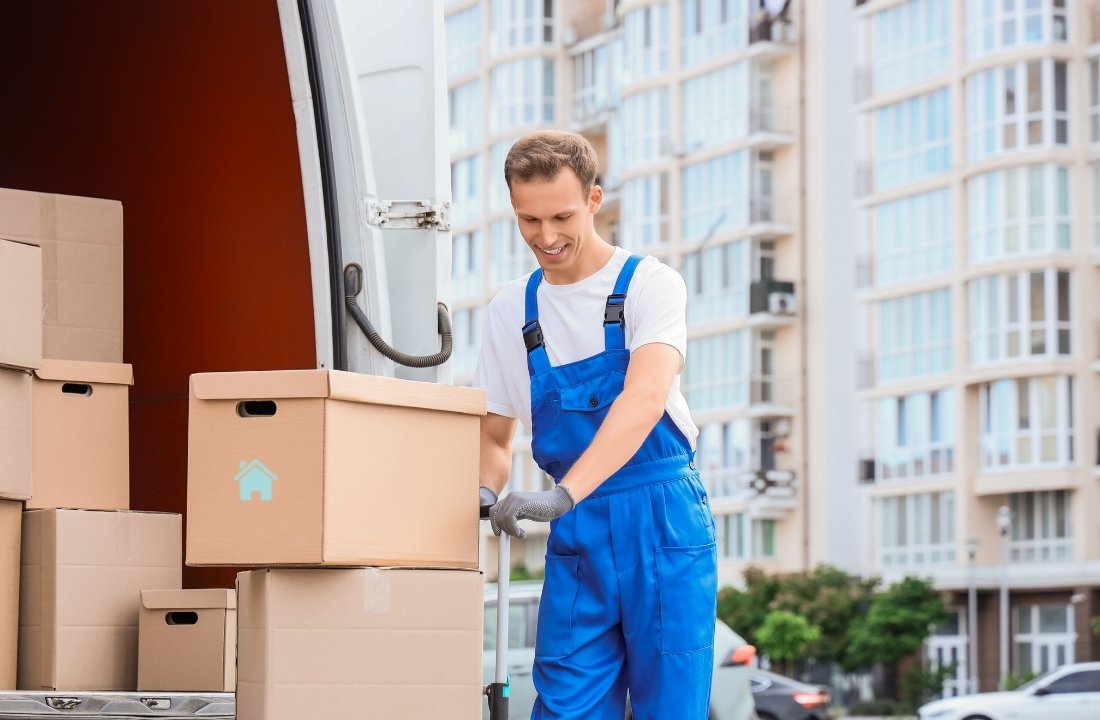 preseljenje-beograd-novi-sad