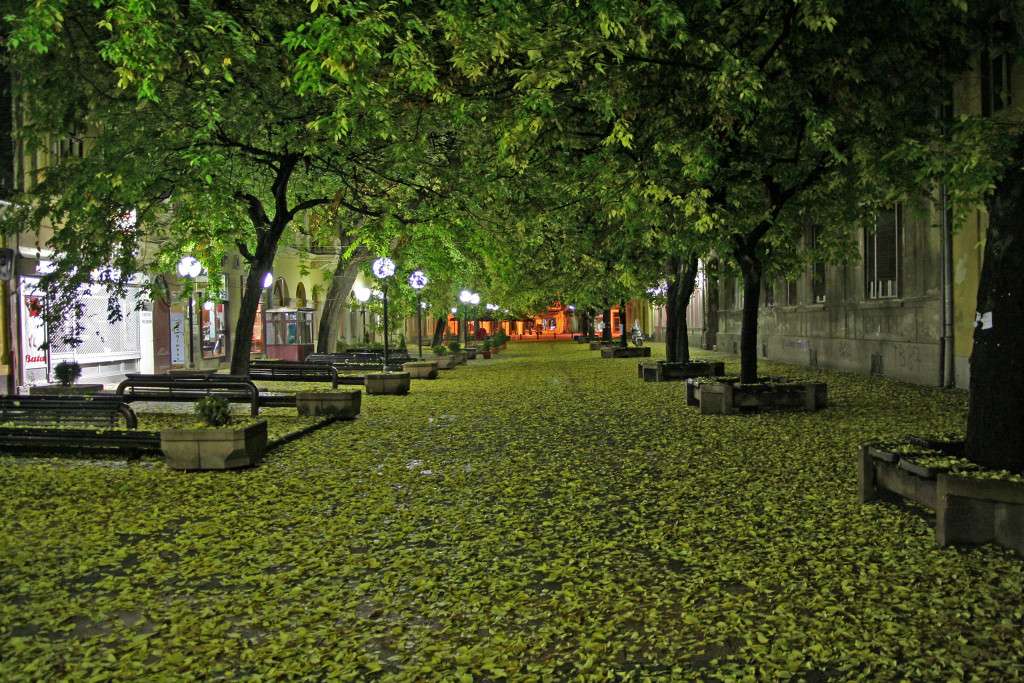 setaliste-pancevo